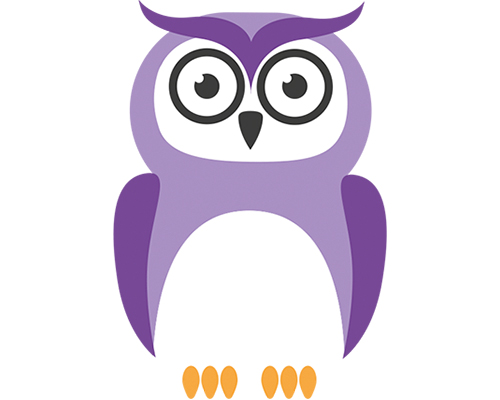 Structure in Teamwork